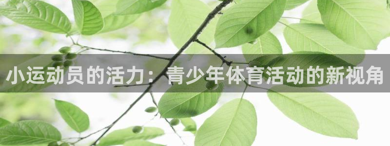 雨燕nba直播视频在线直播观看：小运动员的活力：青少年体育活动的新视角