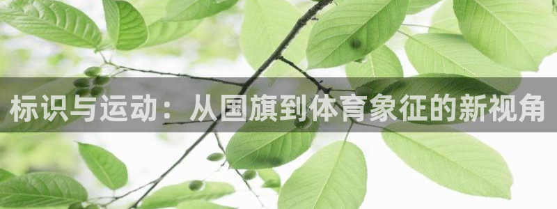 雨燕足球高清免费直播观看：标识与运动：从国旗到体育象征的新视角