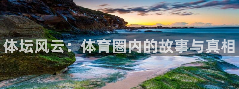 360体育雨燕直播入口：体坛风云：体育圈内的故事与真相