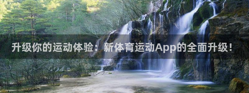 雨燕cba在线现场免费直播：升级你的运动体验：新体育运动App的全面升级！
