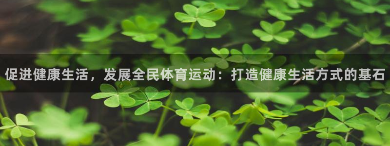 雨燕体育足球直播平台：促进健康生活，发展全民体育运动：打造健康生活方式的基石
