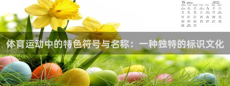 雨燕 体育：体育运动中的特色符号与名称：一种独特的标识文化