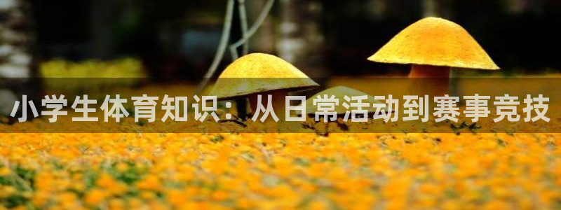 雨燕篮球直播：小学生体育知识：从日常活动到赛事竞技