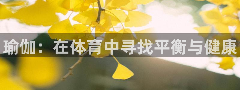 360体育雨燕直播nba：瑜伽：在体育中寻找平衡与健康