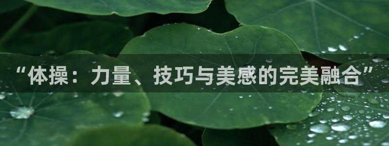 雨燕体育足球直播平台：“体操：力量、技巧与美感的完美融合”