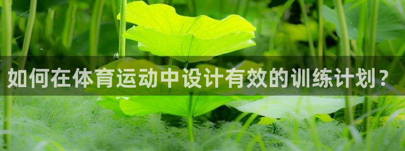 雨燕nba全场免费：如何在体育运动中设计有效的训练计划？