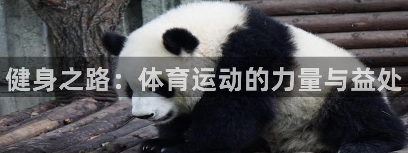 雨燕cba在线现场免费直播：健身之路：体育运动的力量与益处