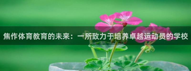 鲸鱼体育雨燕：焦作体育教育的未来：一所致力于培养卓越运动员的学校